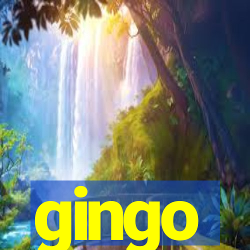 gingo