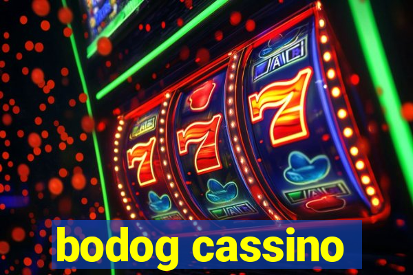 bodog cassino