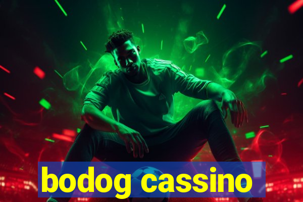 bodog cassino