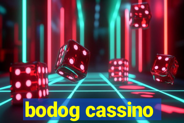 bodog cassino