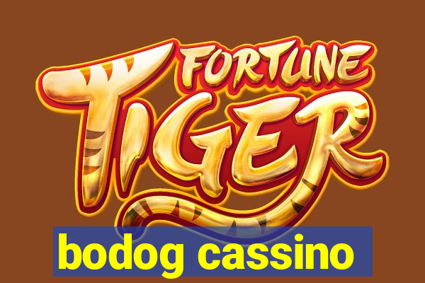 bodog cassino