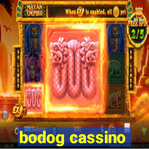 bodog cassino