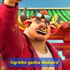 tigrinho ganha dinheiro