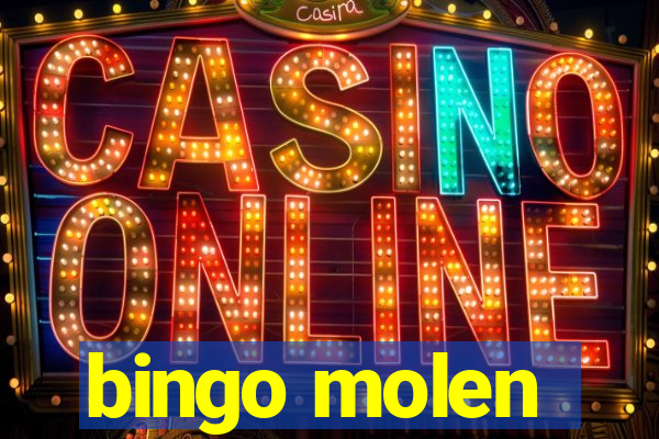 bingo molen