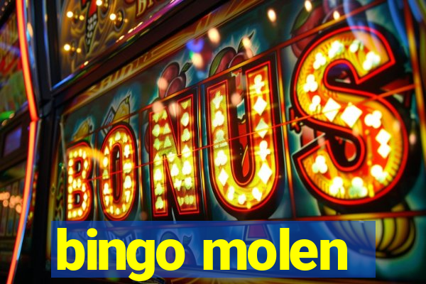 bingo molen