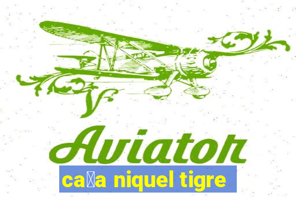 ca莽a niquel tigre