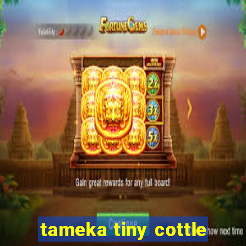 tameka tiny cottle