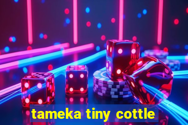 tameka tiny cottle