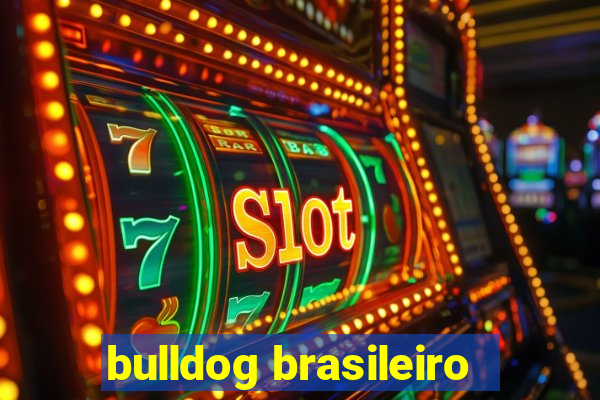 bulldog brasileiro