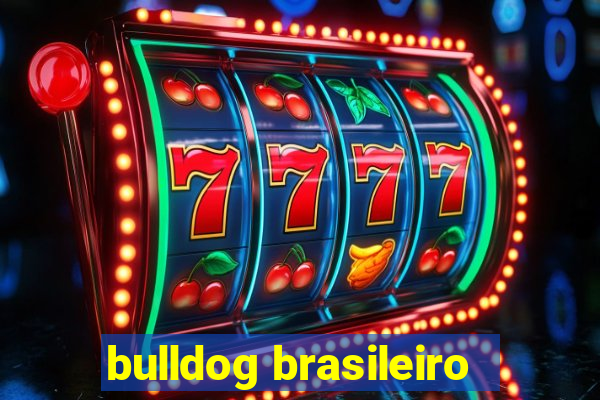 bulldog brasileiro