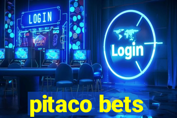 pitaco bets