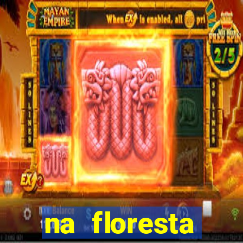 na floresta encantada meme