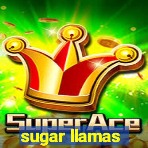 sugar llamas