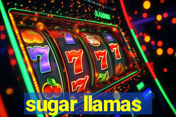 sugar llamas