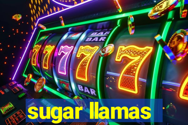 sugar llamas