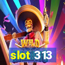 slot 313