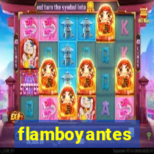 flamboyantes