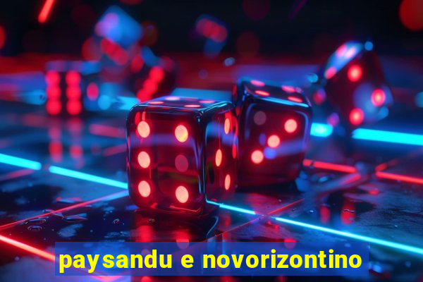 paysandu e novorizontino