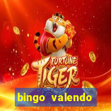 bingo valendo dinheiro online