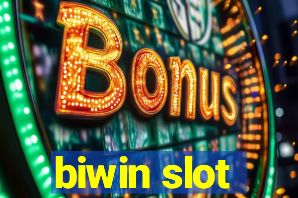 biwin slot